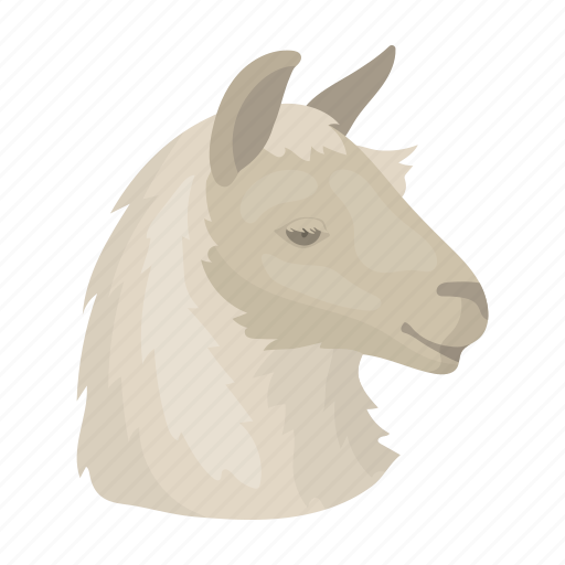 Alpaca, animal, llama, mammal, wild, wool, zoo icon - Download on Iconfinder