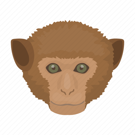 Animal, apes, mammal, monkey, primate, wild, zoo icon - Download on Iconfinder
