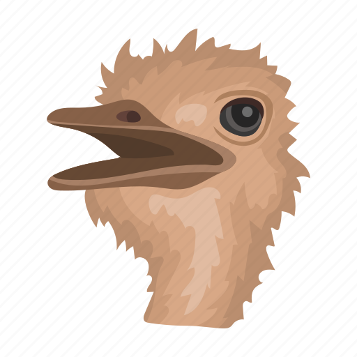 Animal, bird, mammal, ostrich, wild, zoo icon - Download on Iconfinder