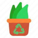 plant, growth, recycle, bucks, drop
