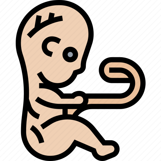 Fetus, embryo, womb, pregnancy, human icon - Download on Iconfinder