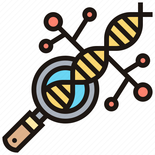 Chromosome, dna, helix, magnifying, molecular icon - Download on Iconfinder