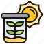 beaker, ecology, environment, plant, sun 