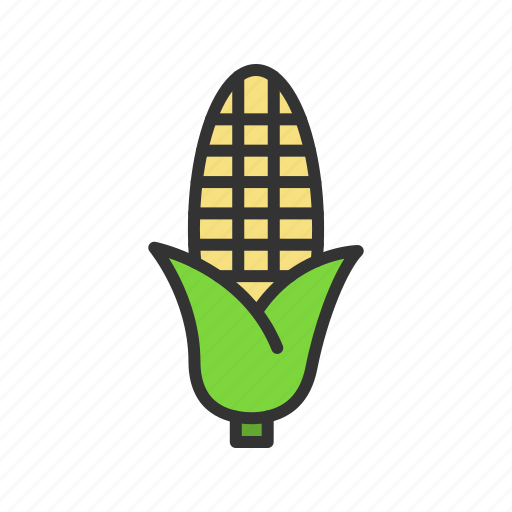 Corn, cereal, food, farm icon - Download on Iconfinder