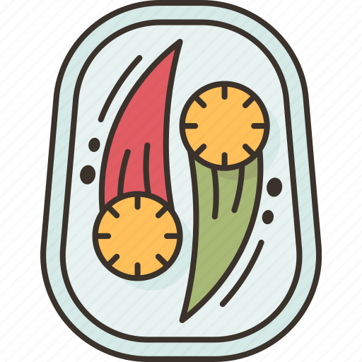 Appetizer, dish, food, culinary, dinner icon - Download on Iconfinder