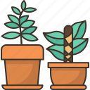 garden, plant, pot, decoration, flora