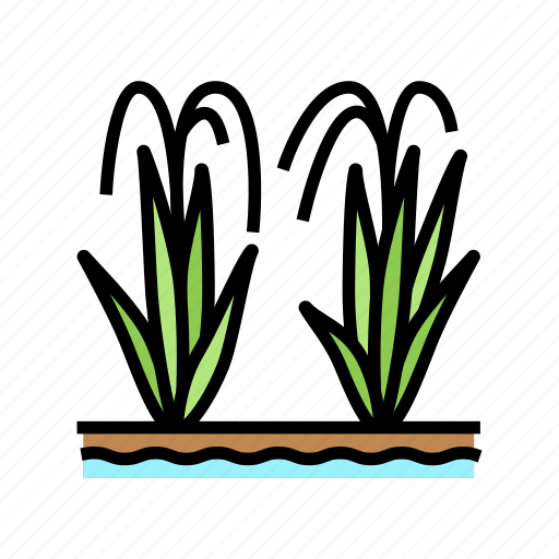 Rice, plant, preparing, delicious, food, valencia icon - Download on Iconfinder