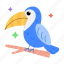 keel bird, toucan bird, cute bird, ramphastos toco, brazilian bird 
