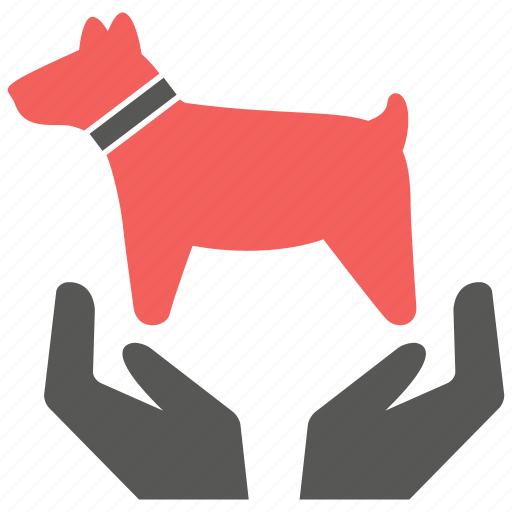 Care, pet, dog icon - Download on Iconfinder on Iconfinder