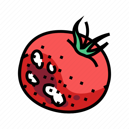 Tomato, rotten, food, fruit, waste, garbage icon - Download on Iconfinder