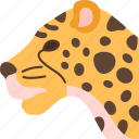 jaguar, panthera, carnivore, animal, jungle