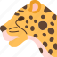 jaguar, panthera, carnivore, animal, jungle 