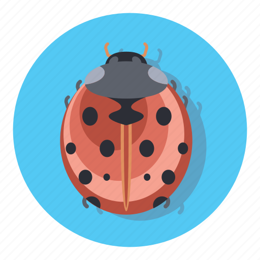 Bug, protect, security, virus icon - Download on Iconfinder