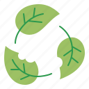 biodegradable, biodegradability, leave, leaf, recycle