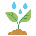 seedlings, plant, tree, water, drop, pour, grow