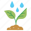 seedlings, plant, tree, water, drop, pour, grow 