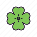 clover, irish, leaf, plant, stpatrick 