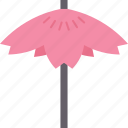 wagasa, umbrella, paper, geisha, japanese
