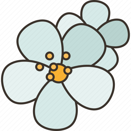 Hanami, cherry, blossom, sakura, spring icon - Download on Iconfinder