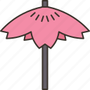 wagasa, umbrella, paper, geisha, japanese