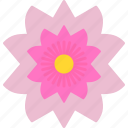 sakura, flower, blossom, spring, nature, season, icon, festival