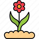 flower, buds, floral, nature, plant, garden, pot, icon, sakura, festival