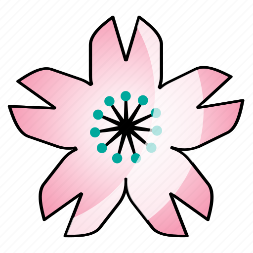 Bloosom, cherry blossom, festival, japanese, sakura icon - Download on Iconfinder