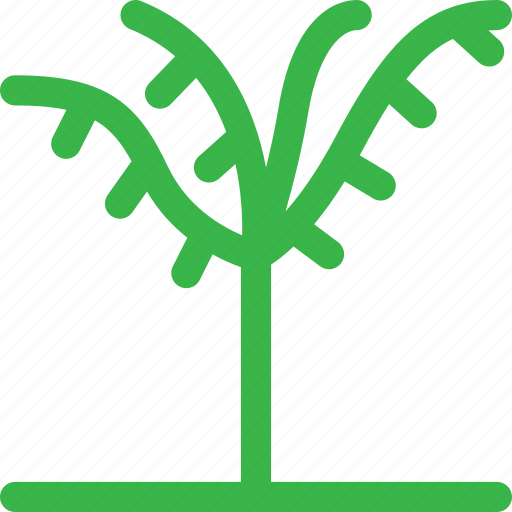 Forest, grow, nature, palm, plant, thin, tree icon - Download on Iconfinder