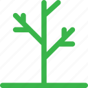 branch, forest, green, grow, nature, plant, tree