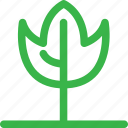 fire, forest, green, grow, nature, plant, tree
