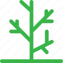 branch, forest, green, grow, nature, plant, tree