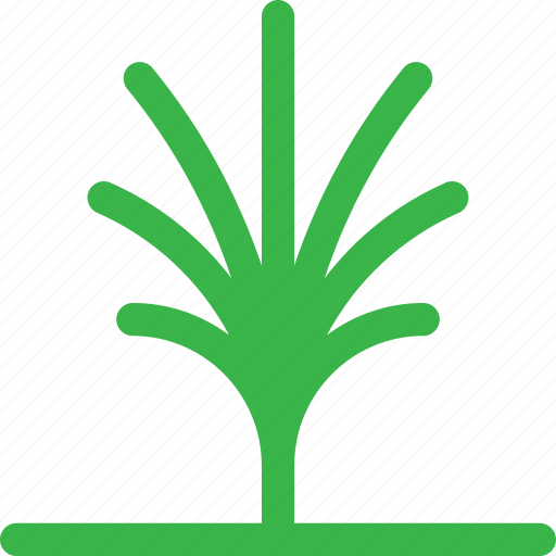 Dessert, forest, green, grow, nature, palm, tree icon - Download on Iconfinder
