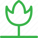 fire, forest, green, nature, plant, tree