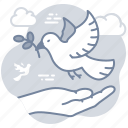 peace, dove, hand, olive, branch