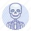 skeleton, skull 