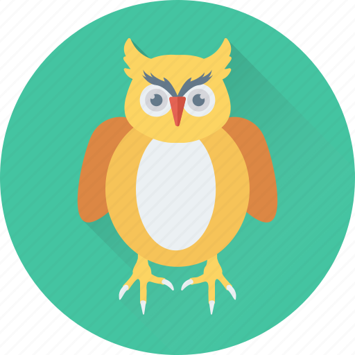 Bird, learning, owl, owl sage, study icon - Download on Iconfinder