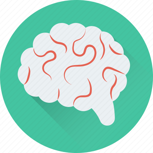 Body part, brain, human brain, intelligence, organ icon - Download on Iconfinder