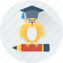 graduate owl, graduation, owl, owl sage, pencil