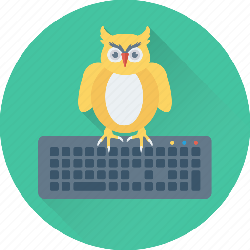 Keyboard, learning, owl, owl sage, study icon - Download on Iconfinder
