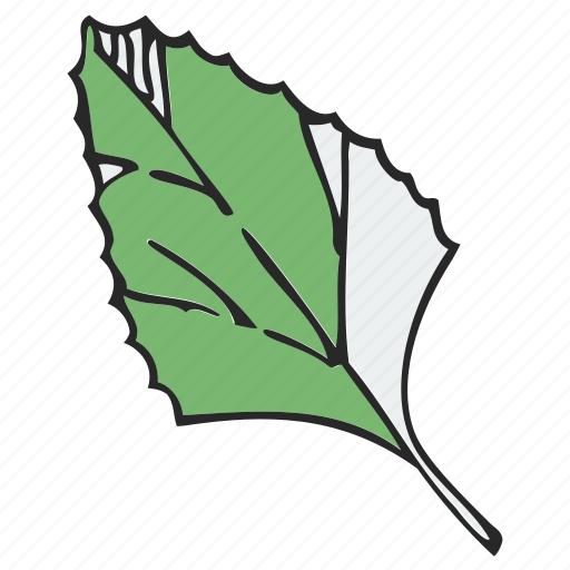 Foliage, frondage, leaf, leafage, tree icon - Download on Iconfinder
