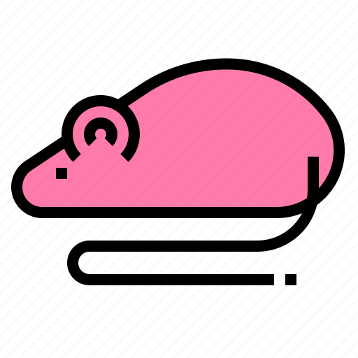 Experiment, laboratory, mouse, rat icon - Download on Iconfinder