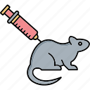 rat experiment, rat test, rat, mice, lab rat