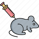 rat experiment, rat test, rat, mice, lab rat