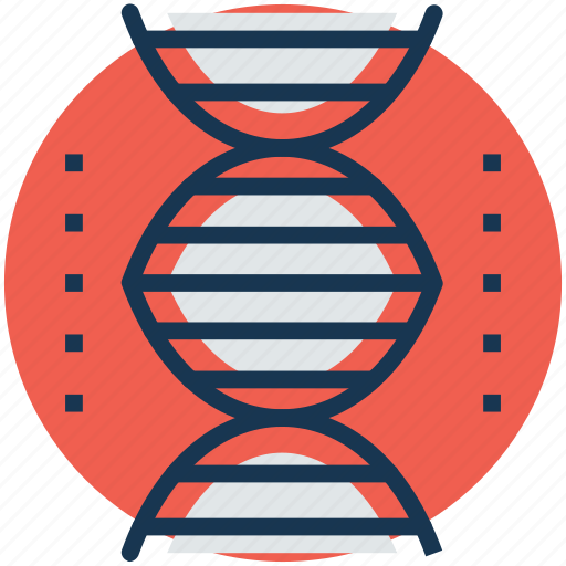 Chromosome, dna, dna helix, dna strand, gene icon - Download on Iconfinder