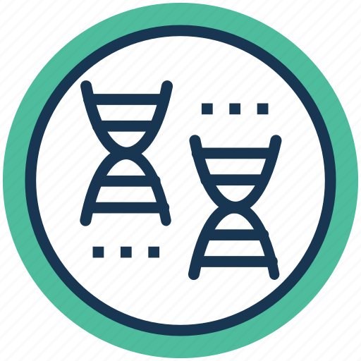 Chromosome, dna, genetic engineering, genetic modification, genetic research icon - Download on Iconfinder