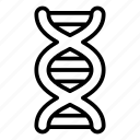 dna, genetics, strand, helix, biology, science, genome