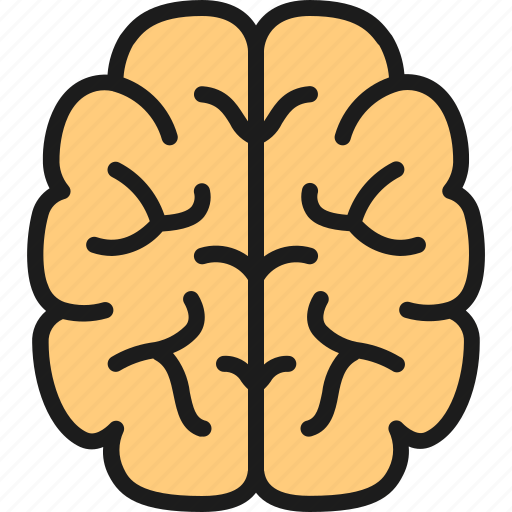 Brain, chemistry, education, intelligence, mind, research, science icon - Download on Iconfinder