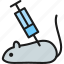 education, experimental, mouse, rat, research, science, syringe 
