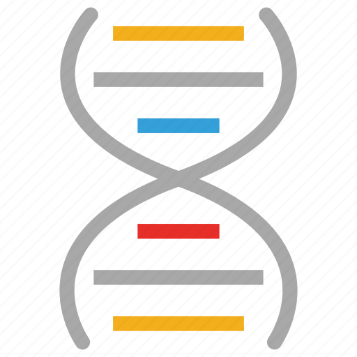 Dna, dna chian, helix, medical icon - Download on Iconfinder