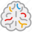 brain, head, human, mind 